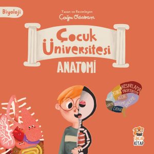 Cocuk Universitesi Anatomi Okul Oncesi Kitap Egitici Cocuk Kitabi Hikaye Kitabi, Sincap Kitap