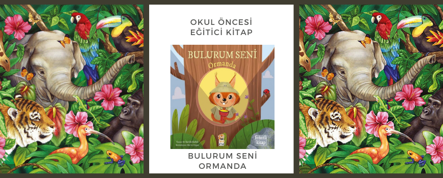 Bulurum Seni Ormanda, Sincap Kitap
